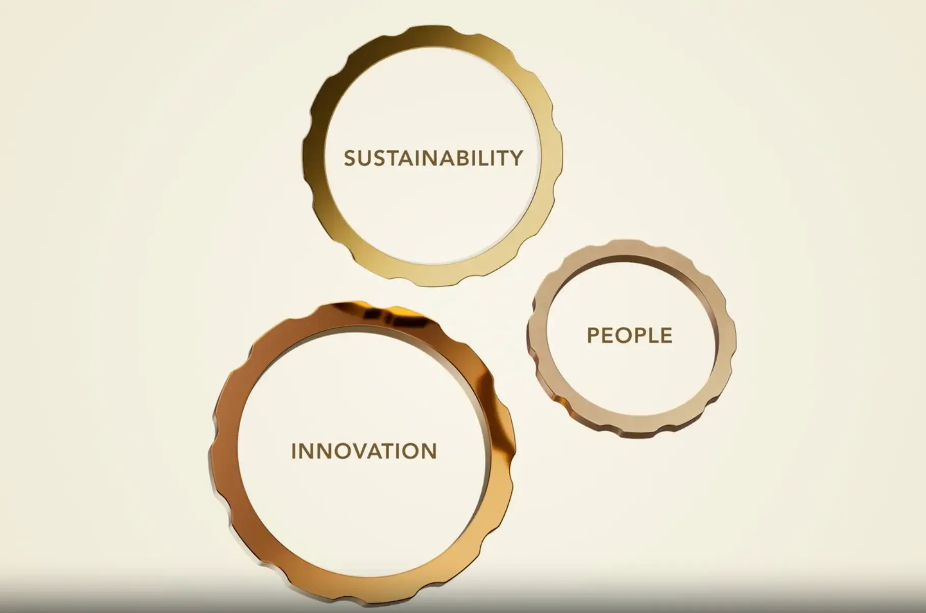 Three-ring anniversary visual representing Sustainability, Innovation and People.